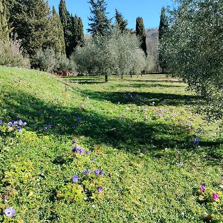 Agriturismo Natura E Salute سان جيمينيانو المظهر الخارجي الصورة