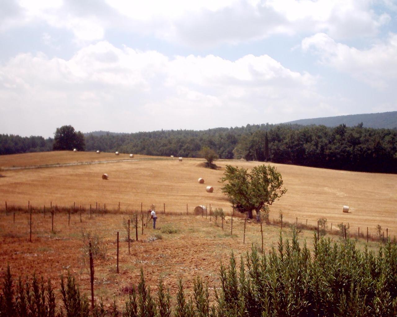 Agriturismo Natura E Salute سان جيمينيانو المظهر الخارجي الصورة