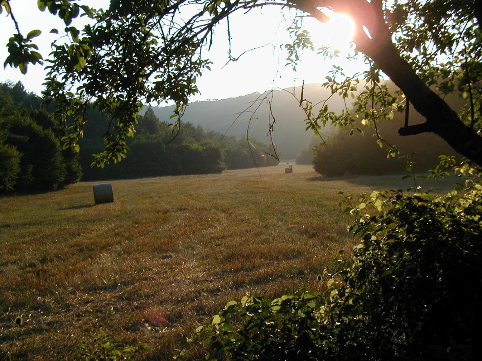 Agriturismo Natura E Salute سان جيمينيانو المظهر الخارجي الصورة