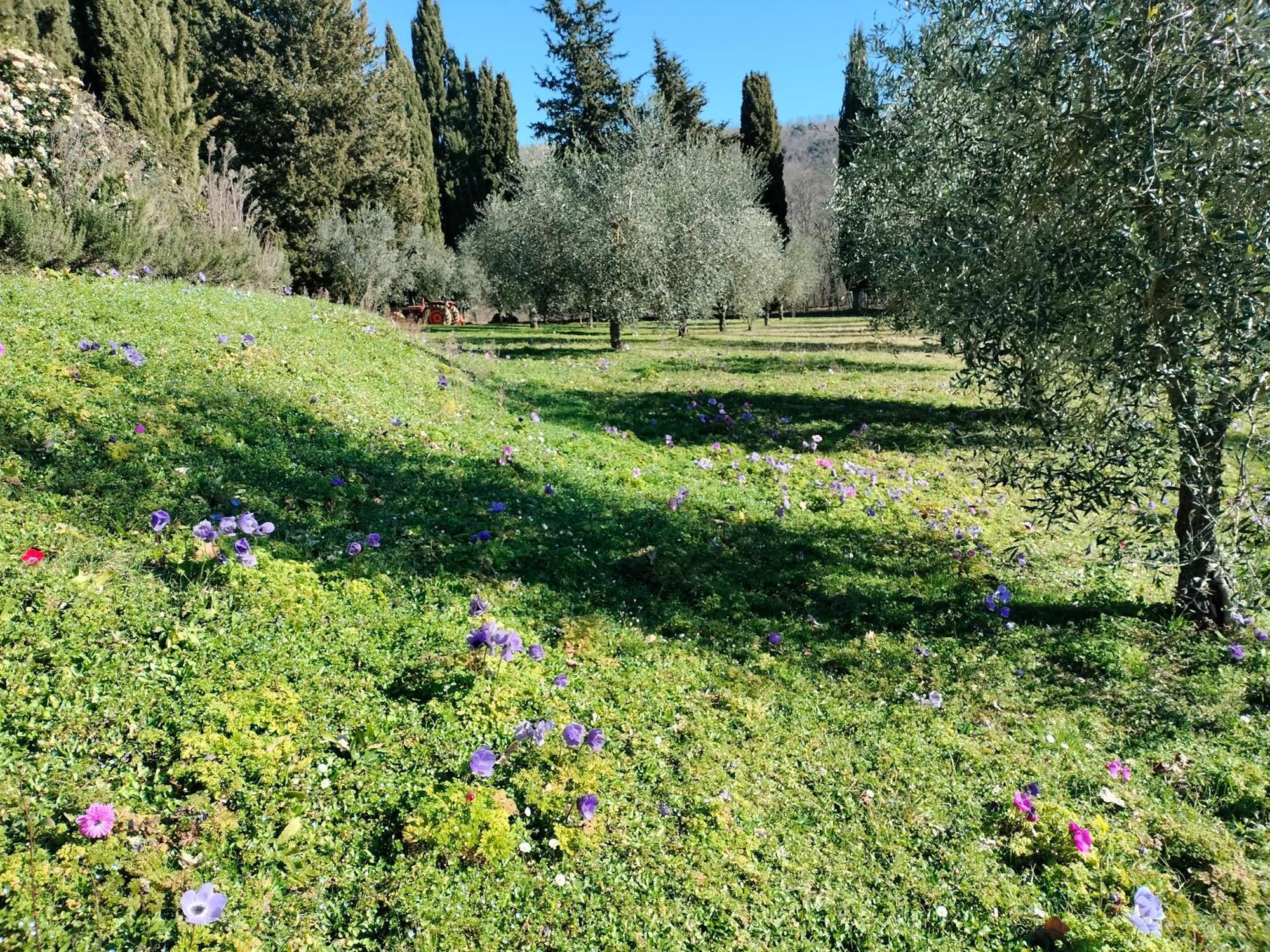 Agriturismo Natura E Salute سان جيمينيانو المظهر الخارجي الصورة