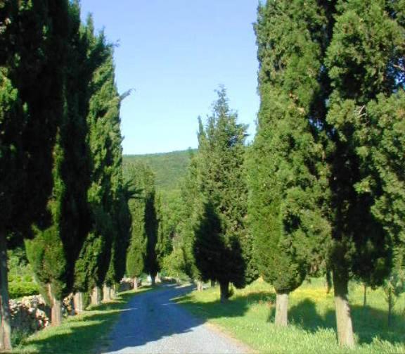 Agriturismo Natura E Salute سان جيمينيانو المظهر الخارجي الصورة